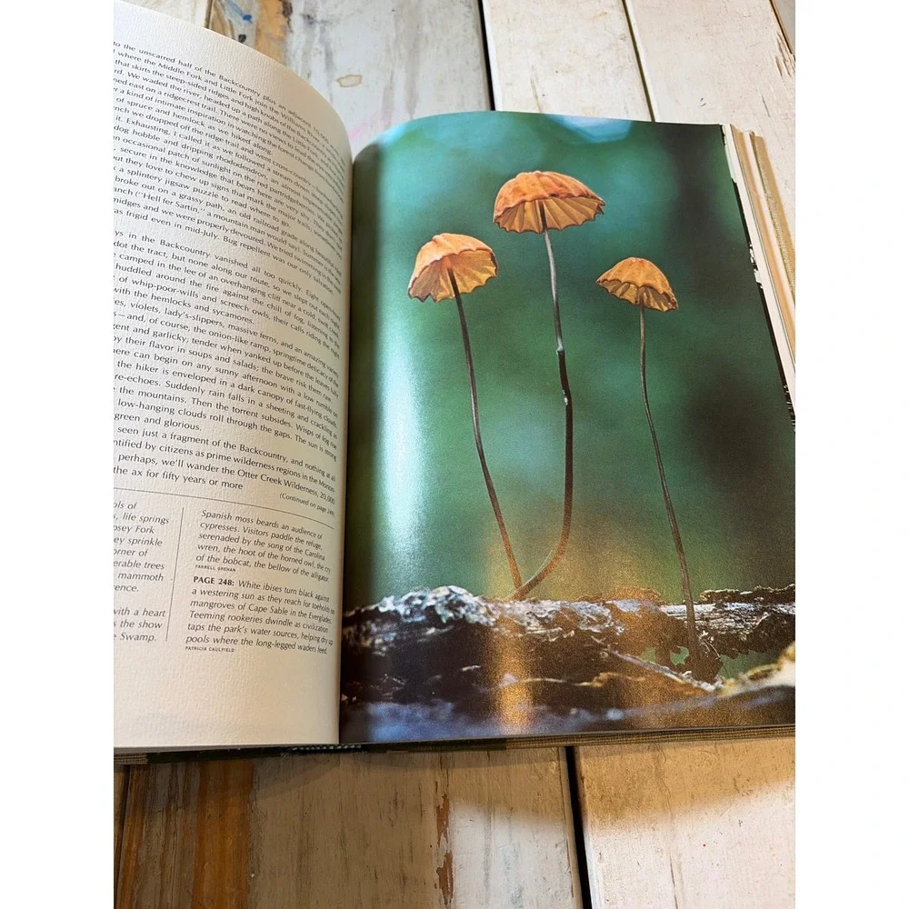 Wilderness U.S.A. National Geographic Society 1973 First Printing Vintage HC